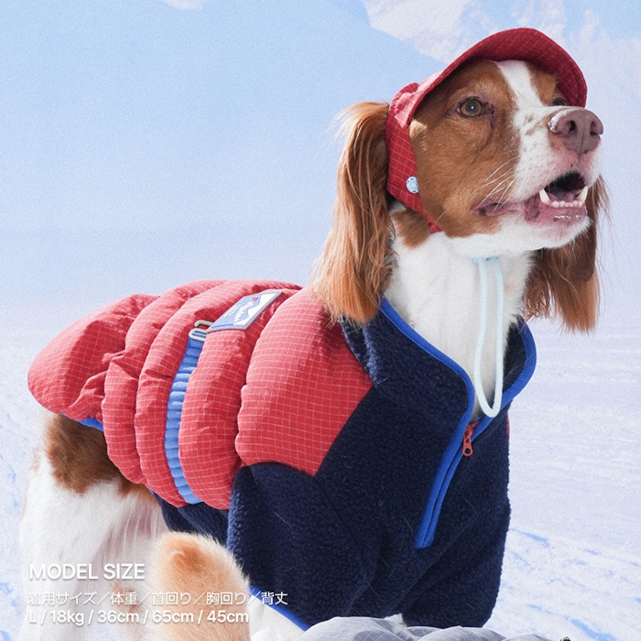 〈PUPPYGALLERY公式〉アイスフィールド ペットハット　S-L