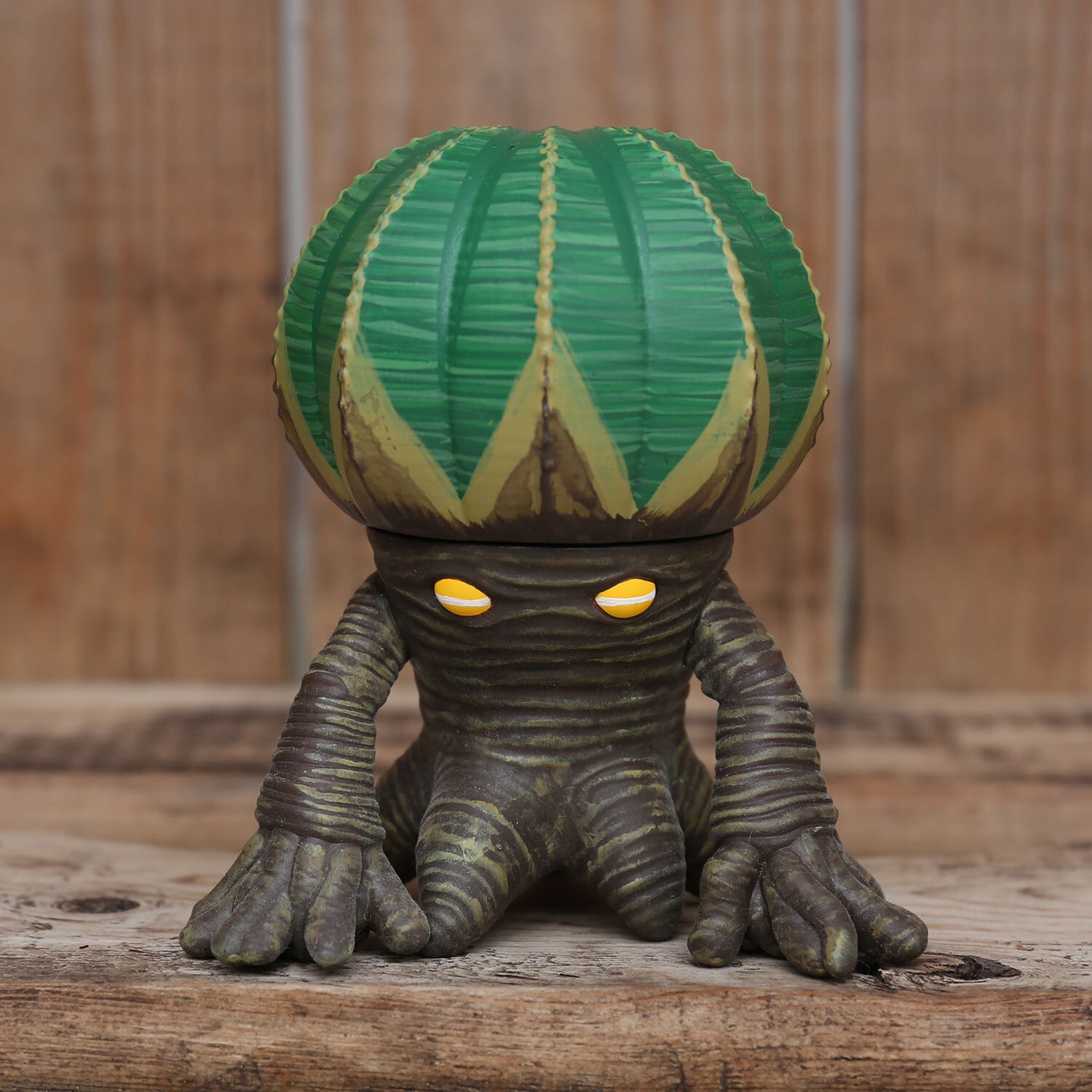 限定1体【ROOT MONSTER EUPHORBIA OBESA - ルートモンスター 限定1体【ROOT MONSTER EUPHORBIA OBESA - ルートモンスター