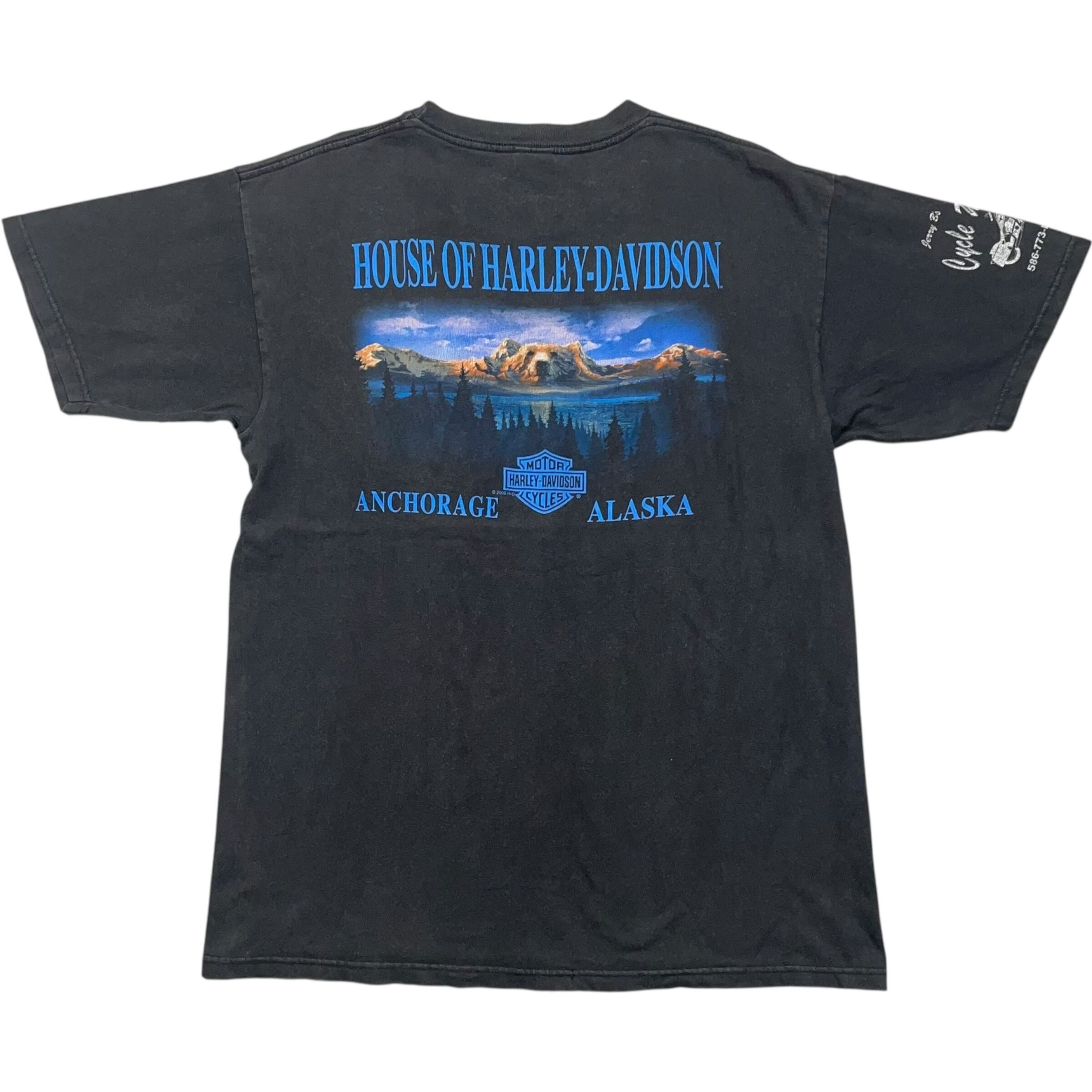 《L》 Harley-Davidson ハーレーダビッドソン Tシャツ プリント 袖プリント ブラック フェード no.8463