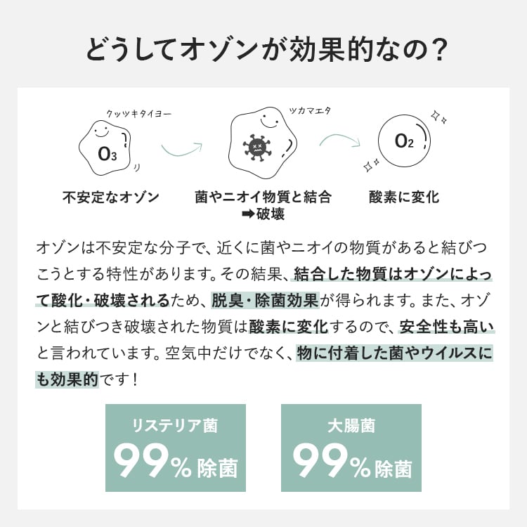 小型脱臭機 冷蔵庫 トイレ 靴箱 | MRG JAPAN Direct