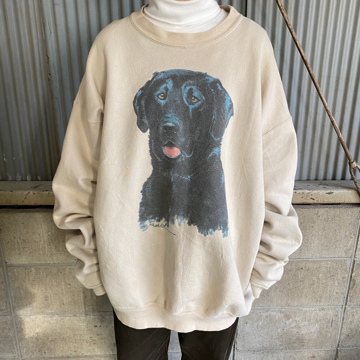 ☆アニマルプリントＴシャツ☆90s☆メキシコ製☆犬☆ダックスフント☆２ＸＬ