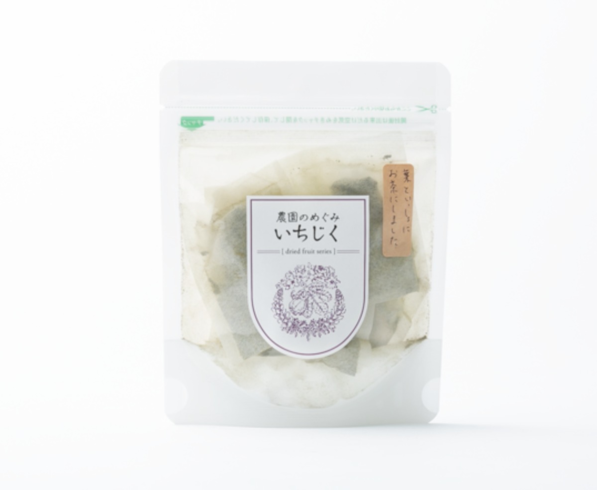 いちじくページ イチジク：ショートブリッジ4号ポット の通販 | 園芸ネット