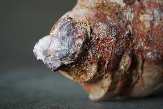 コールドマウンテン・サンダーエッグ Cold Mountain Thunderegg 1031