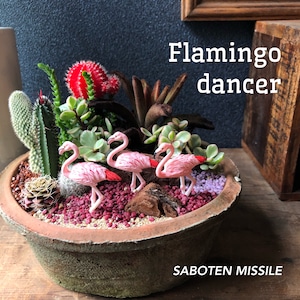 Flamingo dancer