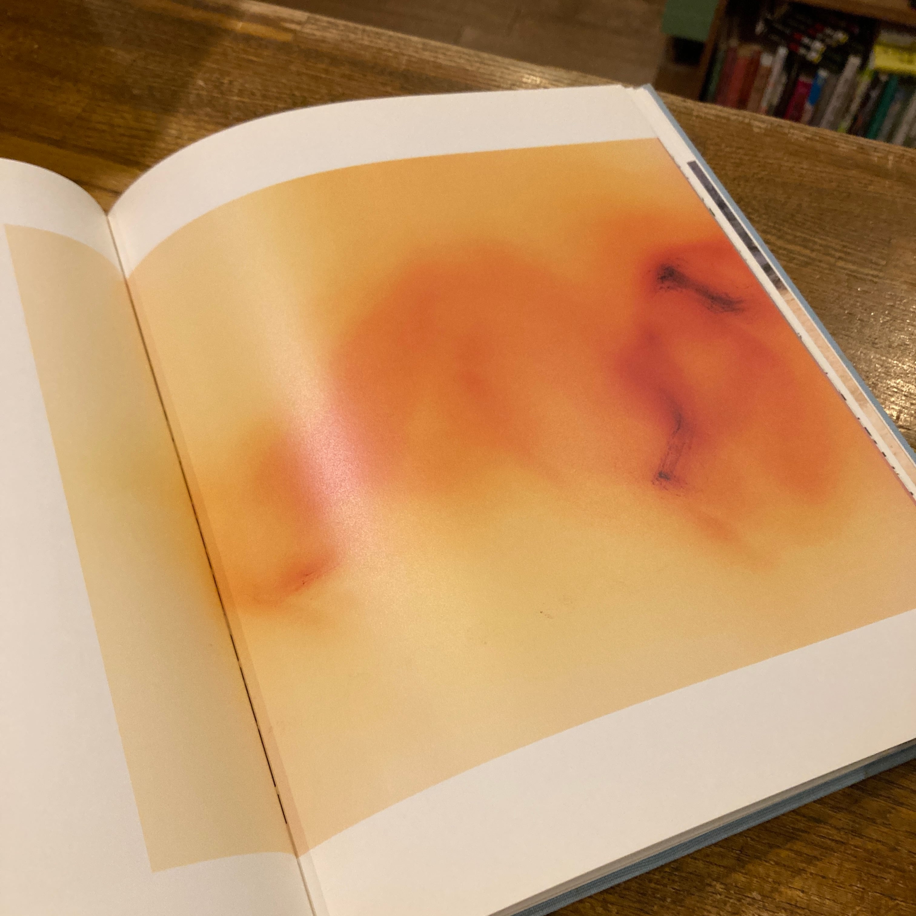 Freedom From The Known / Wolfgang Tillmans（ヴォルフガング