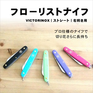 フローリストナイフ【VICTORINOX】ストレート｜右利き用