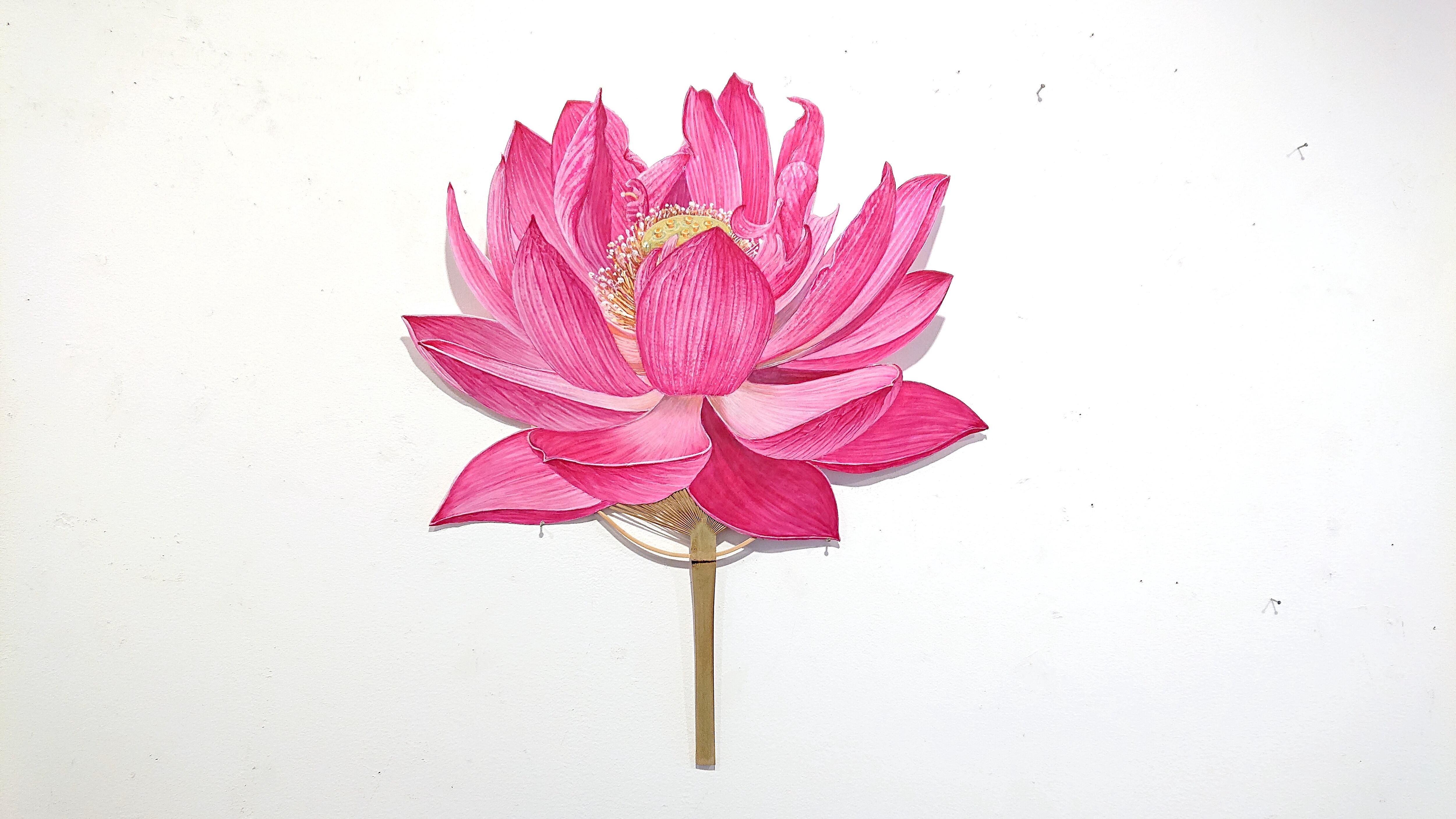 うちわ01（2022） / 小松 順子　Komatu Jyunko