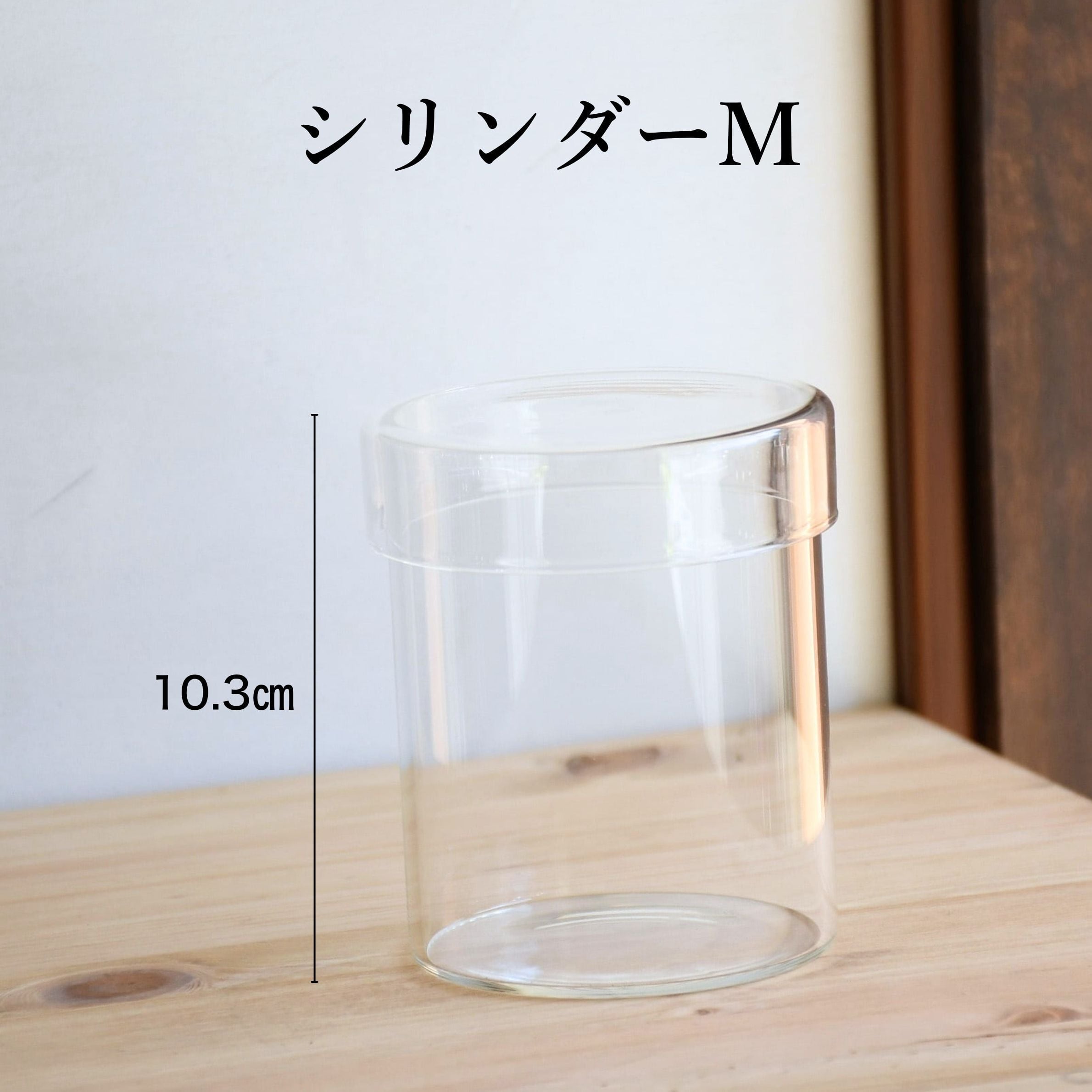 【ガラス容器】シリンダー・M(直径8.8㎝ × 高さ10.3㎝)◆高さのあるコケの植え付けに