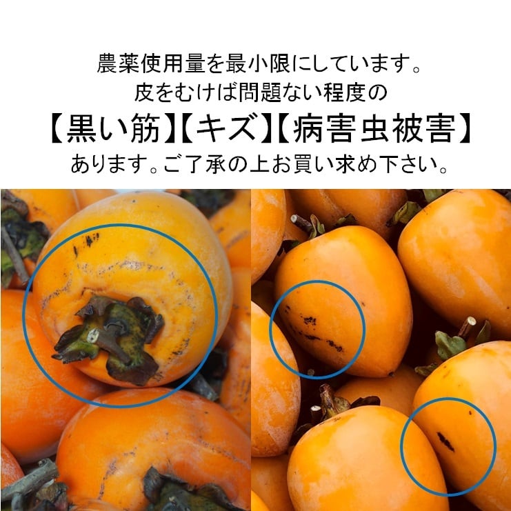 干し柿用愛宕柿 約10kg入り 11月下旬〜12月上旬 順次発送 | 輝らり果樹園