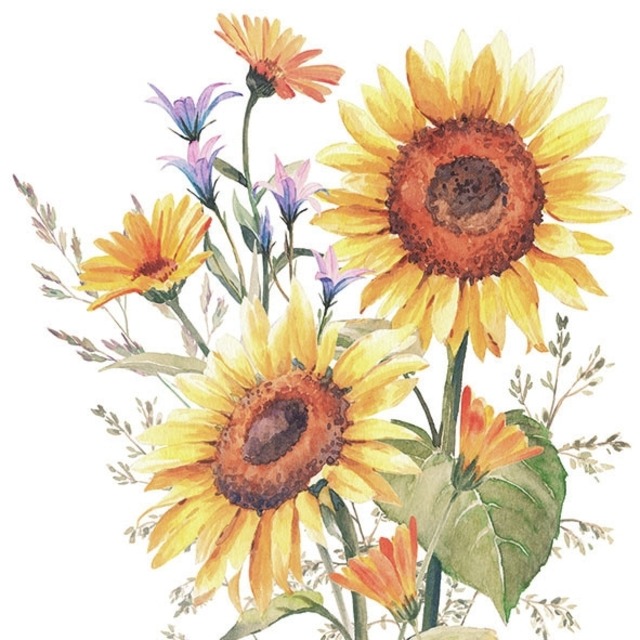 【Ambiente】バラ売り2枚 カクテルサイズ ペーパーナプキン Sunflowers ホワイト