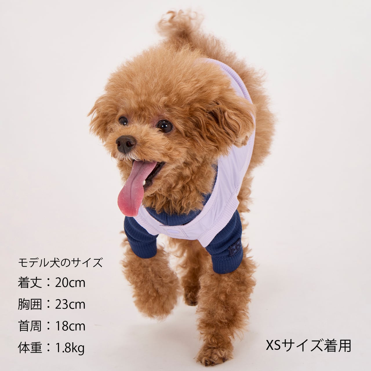 PISTE（XL.XXL） ピステ | MANDARINE BROTHERS マンダリンブラザーズ