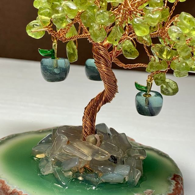 2.青いりんごがなる招財樹・ペリドット