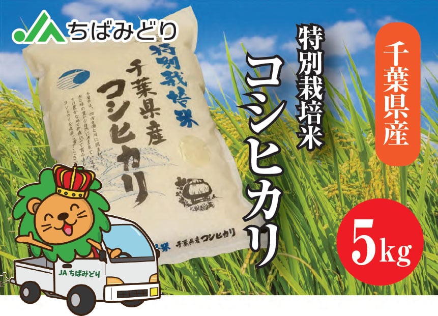 千葉県産  令和5年コシヒカリ5kg玄米  減農薬栽培