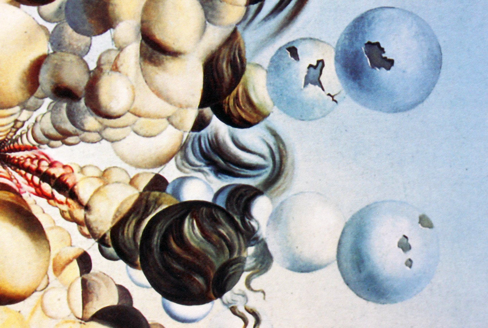 サルバドール・ダリ「球体のガラテア」作品証明書・展示用フック・限定375部エディション付複製画ジークレ