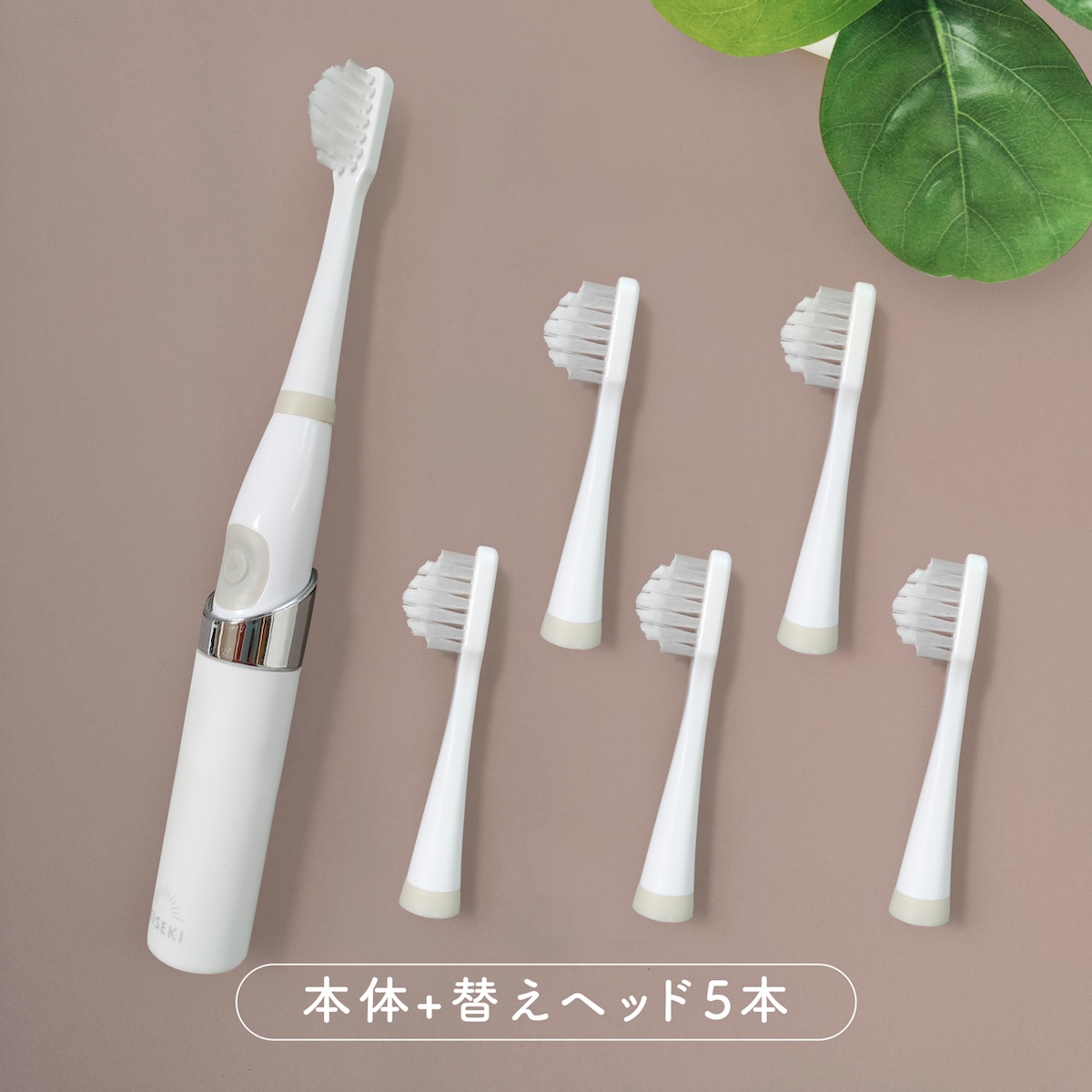 電動セット【予約販売】2月発送予定〈奇跡の歯ブラシ ソニック〉 本体 