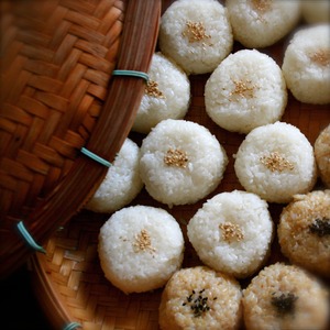 定期便　精米１０kg　＜毎月１回・６ヶ月間＞  ミルキークイーン　