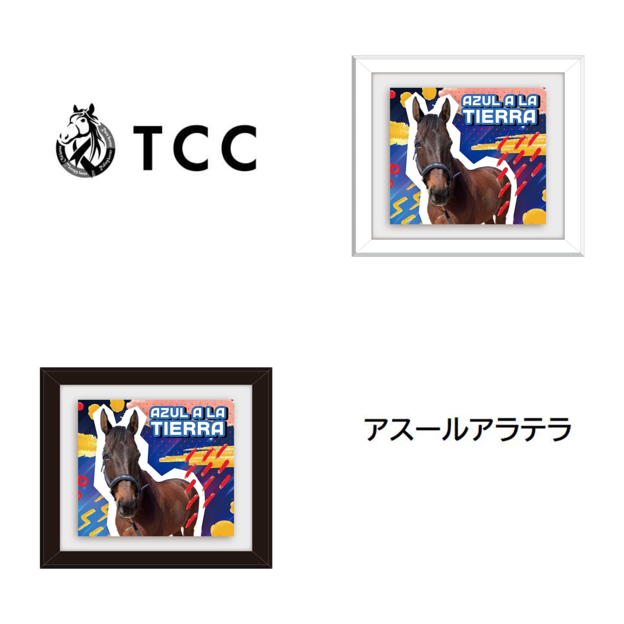 TCC x 馬Site TCCホース額縁マグネット ア～カ行 | TCC ONLINE STORE