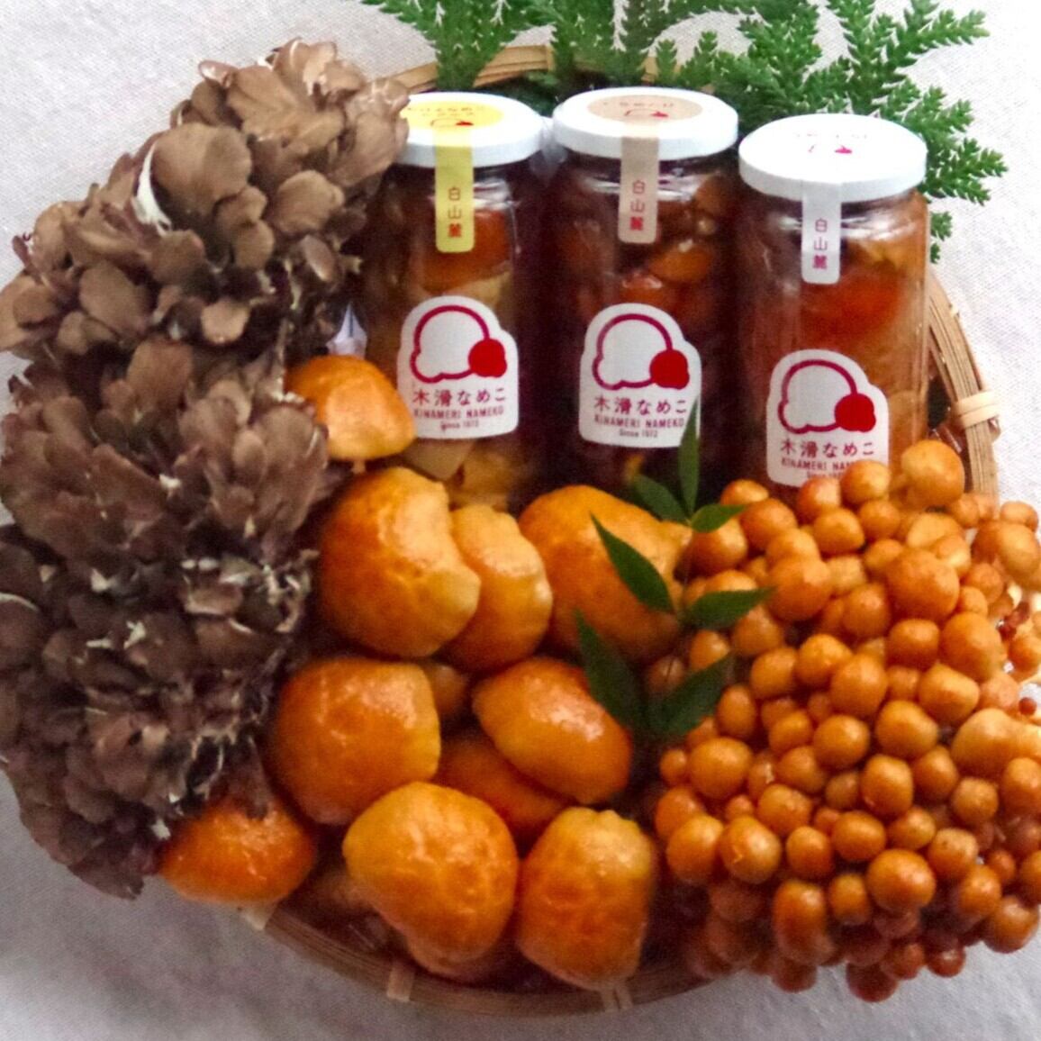 木滑なめこ | yamadachikai