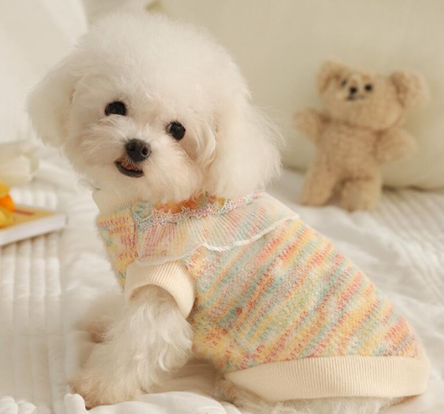 《予約》1102018 マーブルボーダートップス