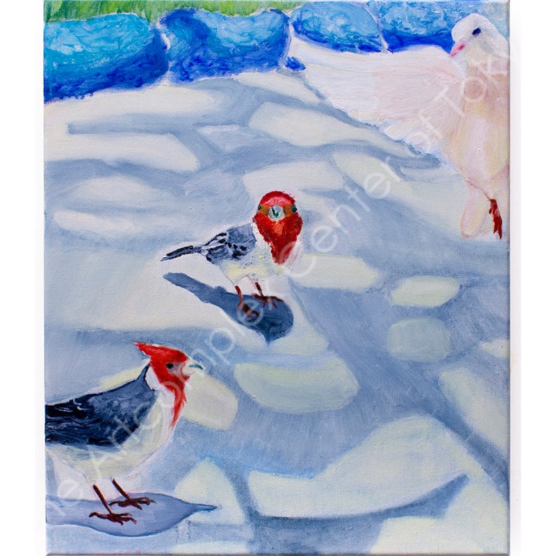 RINA「Fascinating birds」