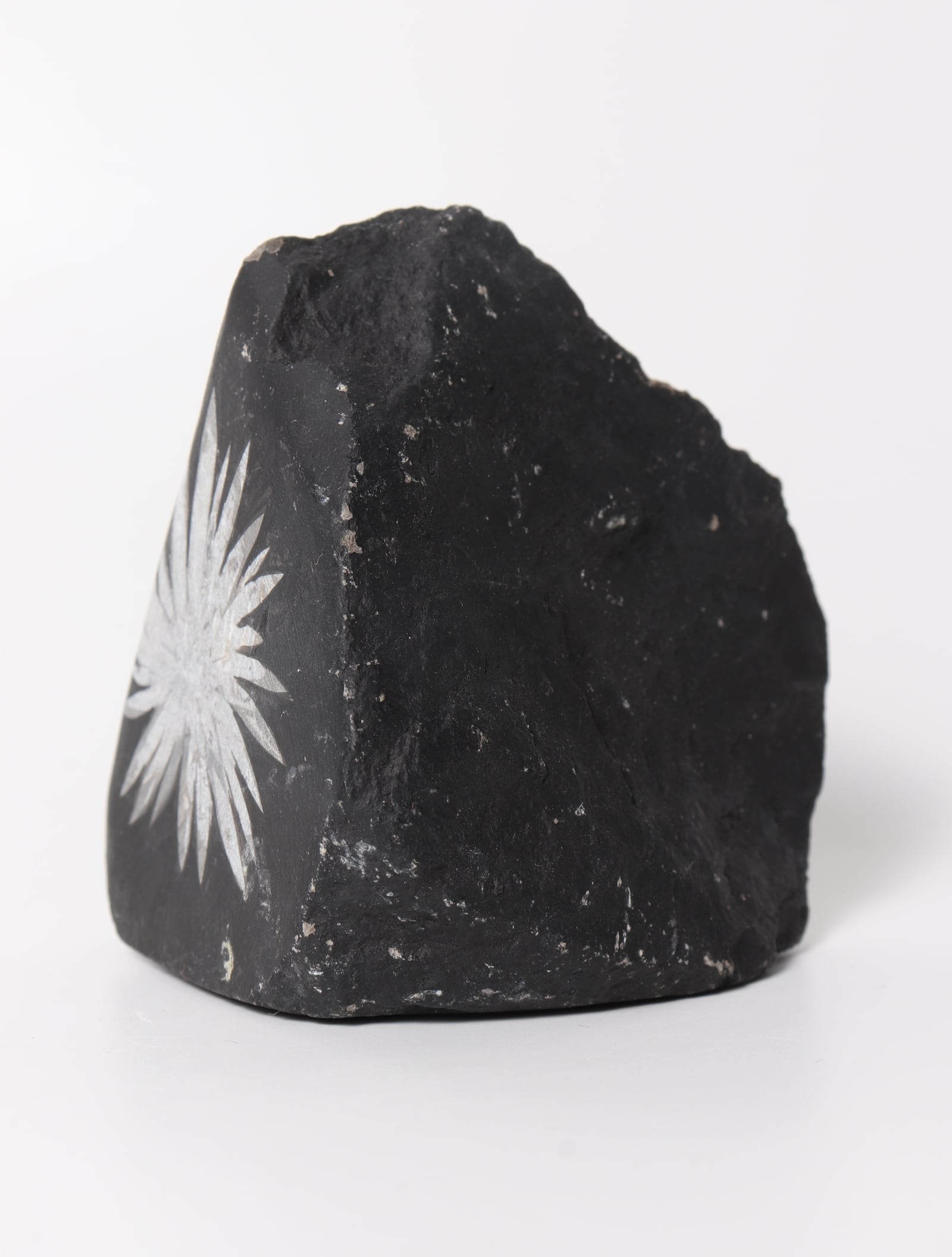 CHRYSANTHEMUM STONE FORMED | acenus | 天然石・インテリア・ブレスレット