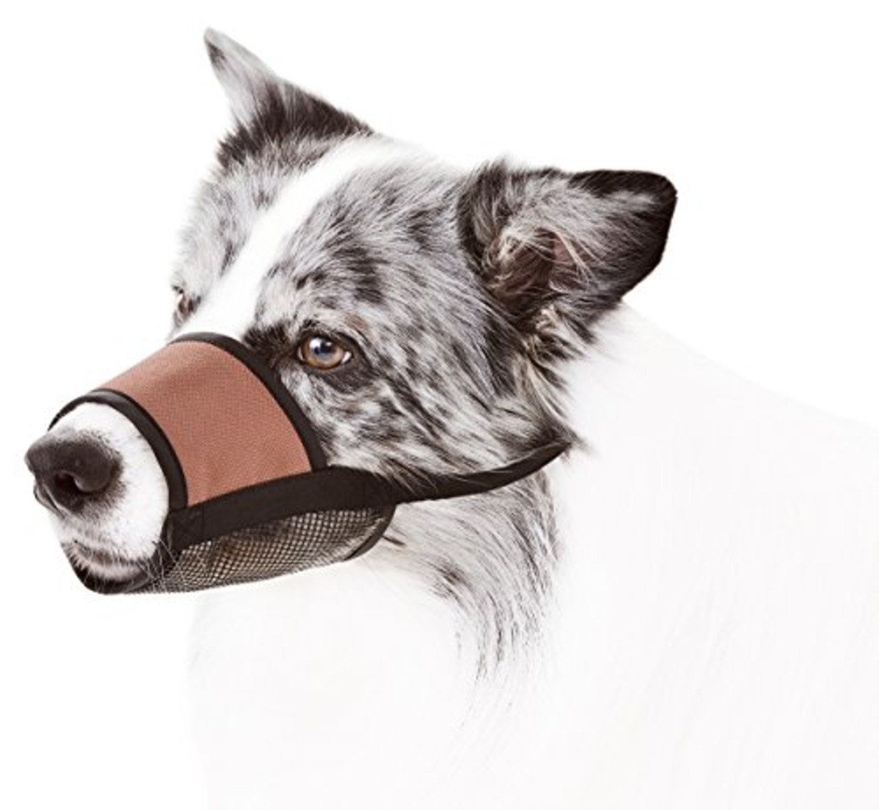 ペティオ (Petio) ソフト口輪 ミニ犬用 1号