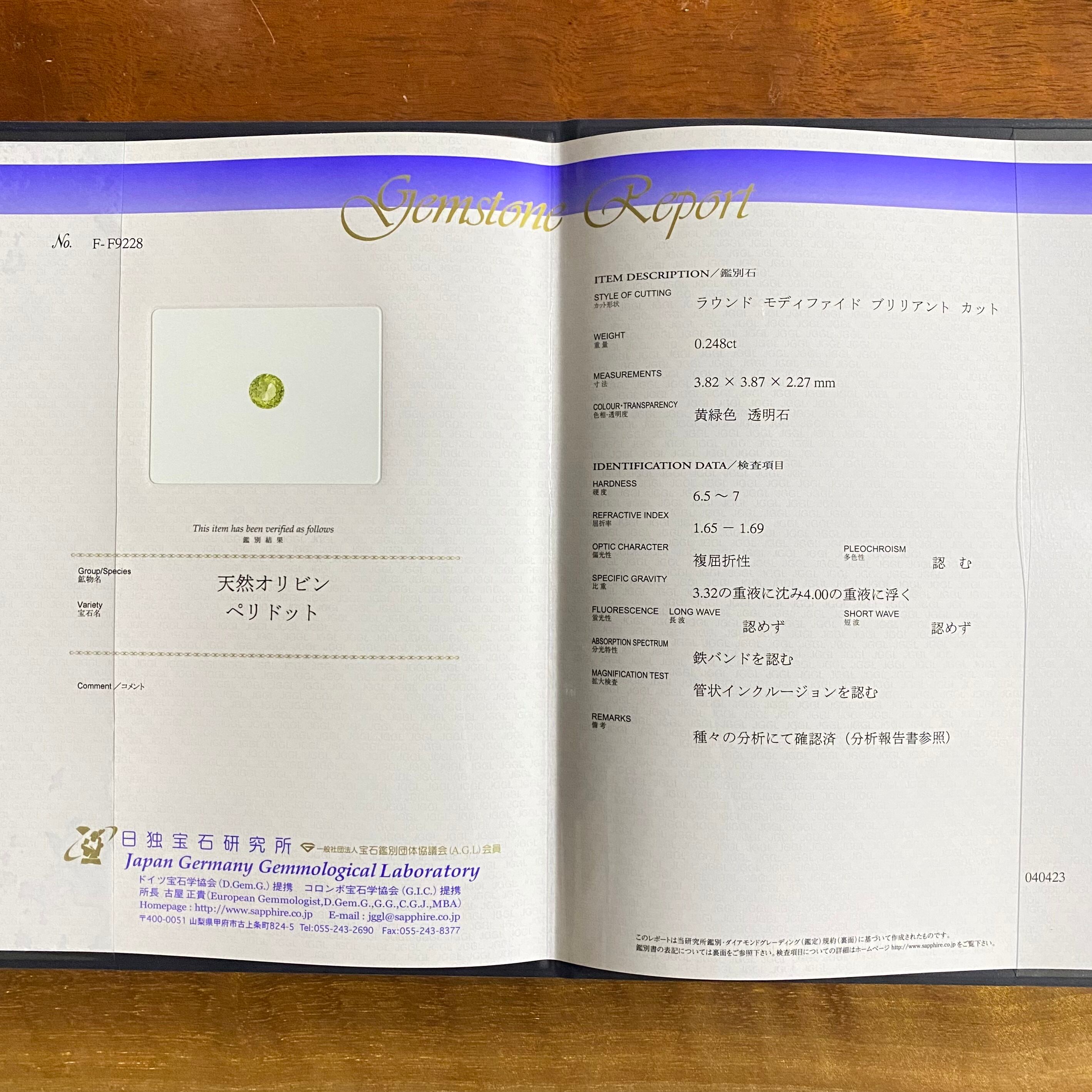 隕石と流星群　パラサイトペリドット