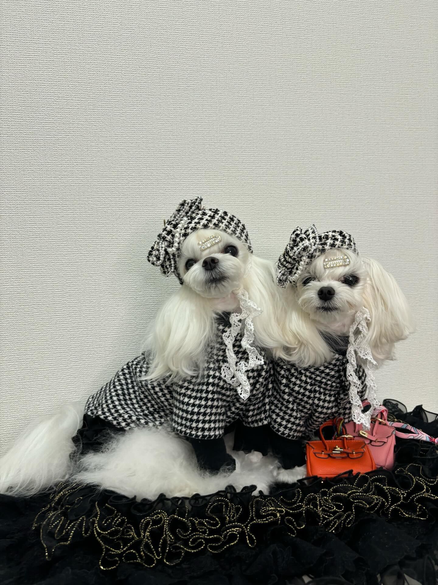 ツイードシックベレー帽・・・レッド | misacrown