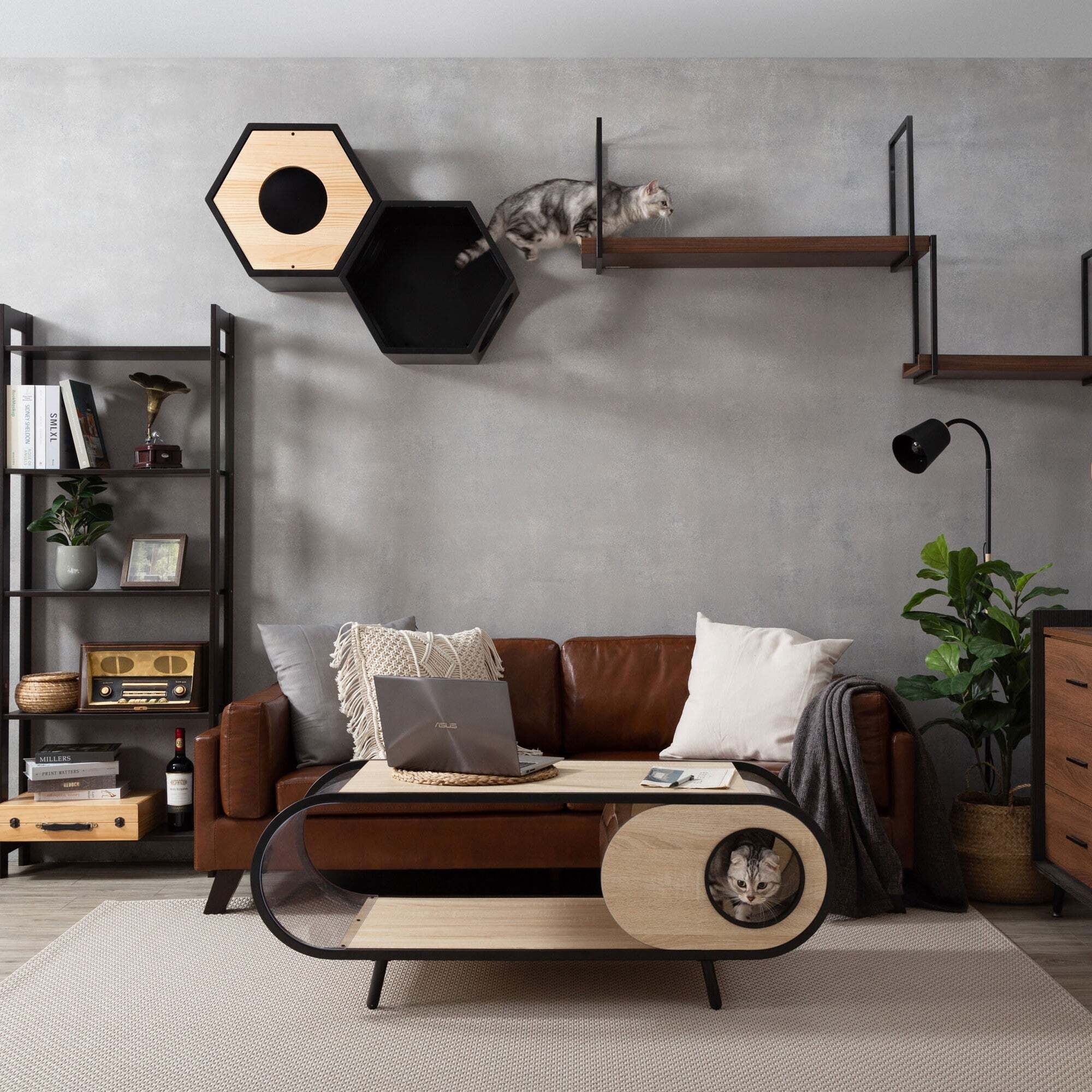 テーブル/猫ハウス】COSMOS-MYZOO【nekokobo select】 | 猫のための