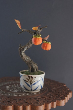 盆栽 柿 Persimmon Bonsai #93