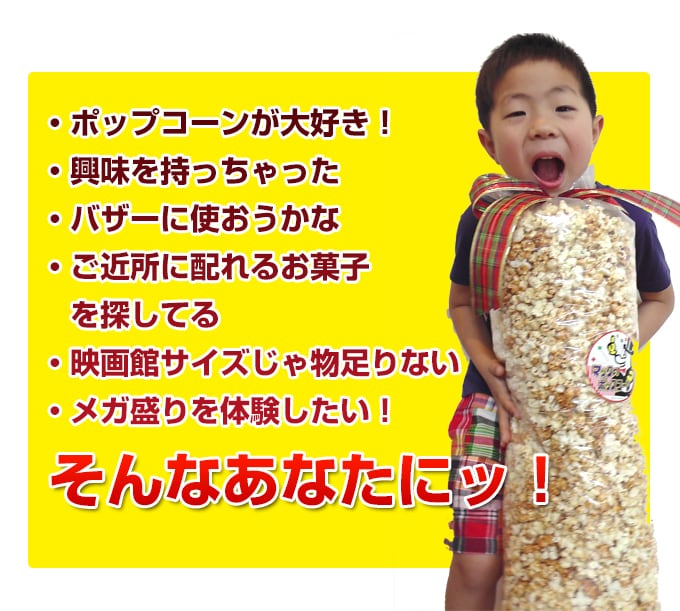 等身大パンチングPOP　巨大化品 Pop! Jumbo Pochita | Funko