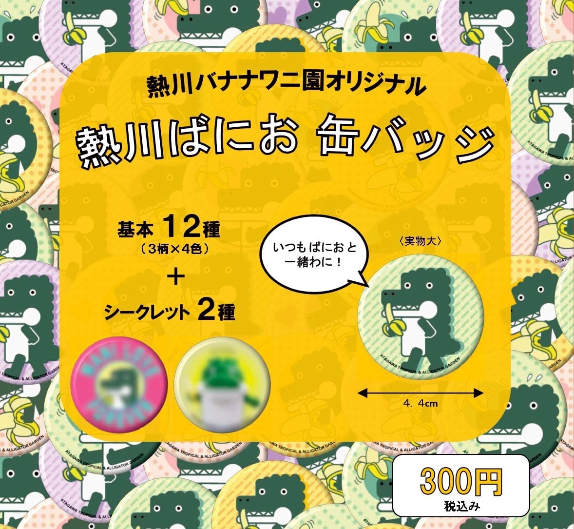 熱川ばにお 缶バッジ | 熱川バナナワニ園 売店
