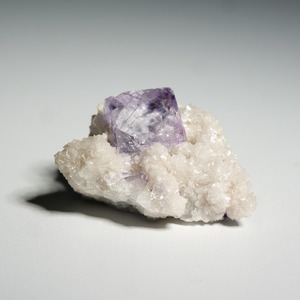 ヤオガンシャン産 フローライト 共生 / 原石 標本【E_2】