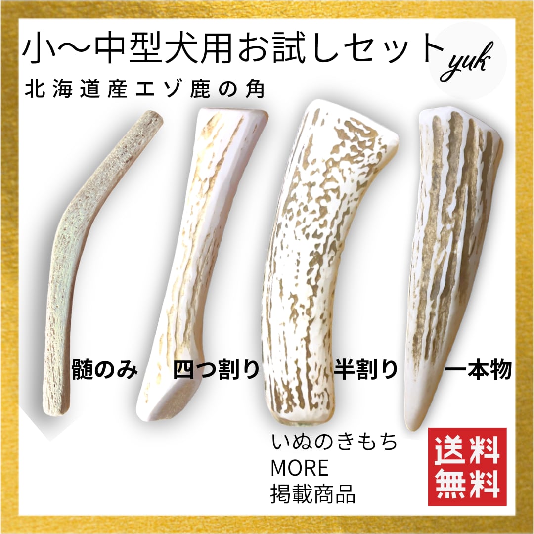 4つセット ⭐︎4つセットJR四国 特急詰め合わせ 【公式通販】