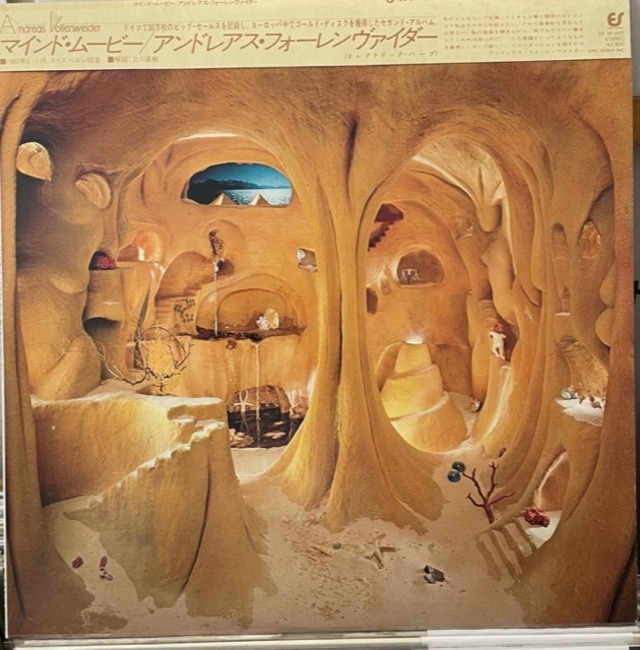 VOLLENWEIDER "CAVERNA 見本盤 LP | EAD RECORD