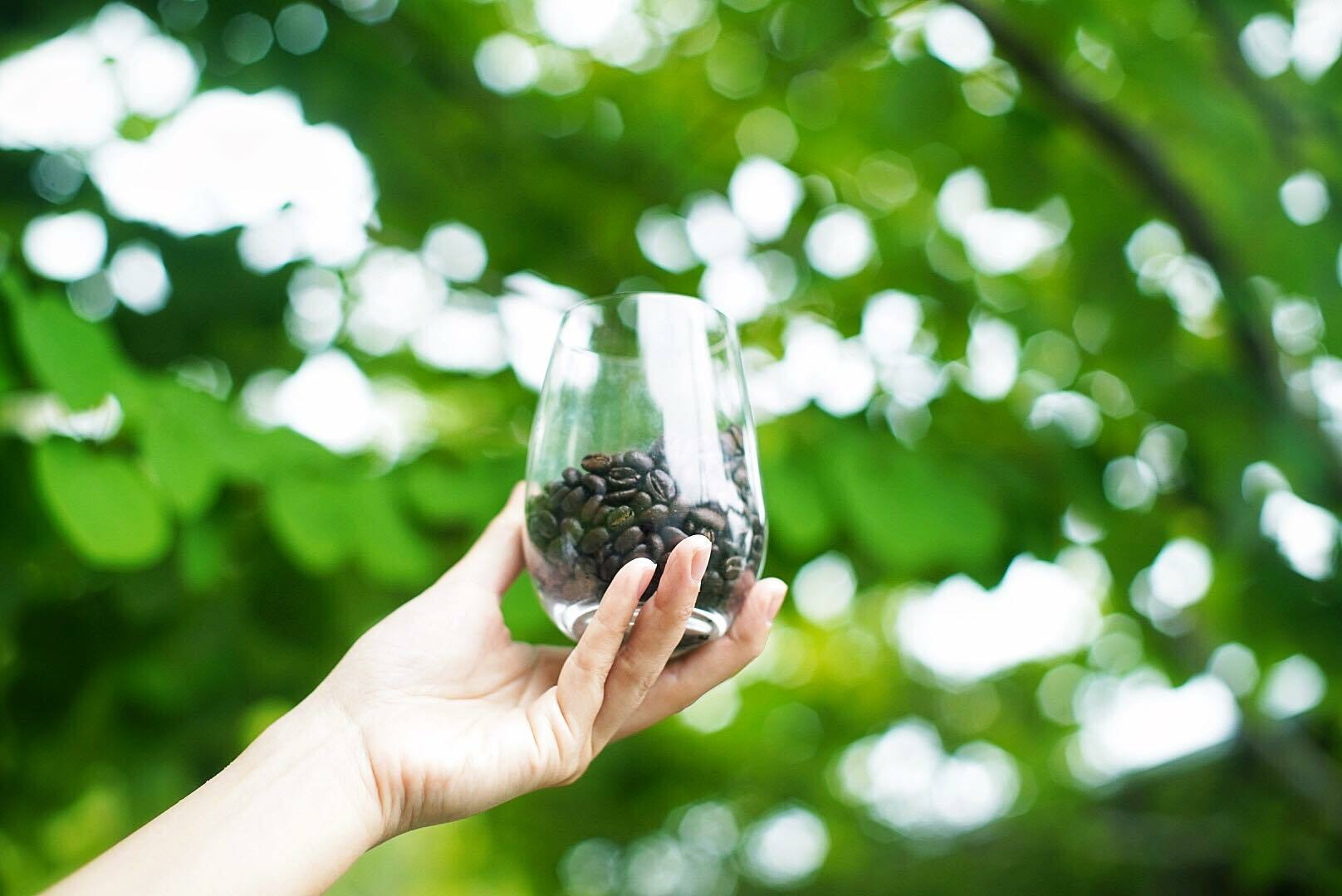 ■珈琲豆■エチオピア ウォッシュド 深煎り