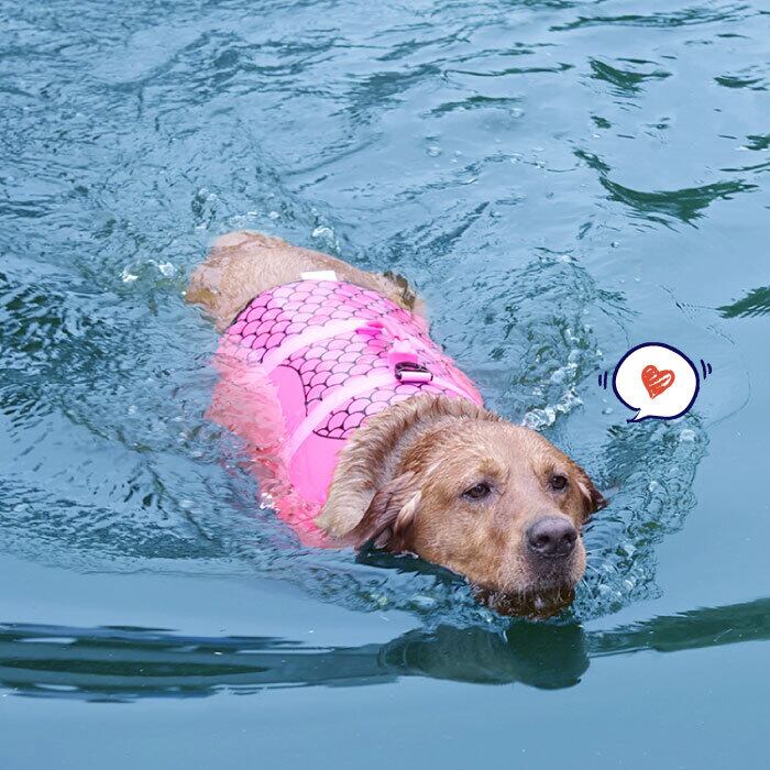 犬用 ライフジャケット Xs お風呂 イエロー ウェア スイムウェア ドッグウェア フローティングベスト プール ベスト式 ペット 介護 救命胴衣 服 水浴び 水着 浮き 犬 定期入れの Xs