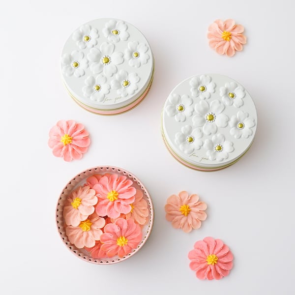 お花のぼうろ3缶セット」コスモス【紙袋付き】 | Flower Picnic Cafe