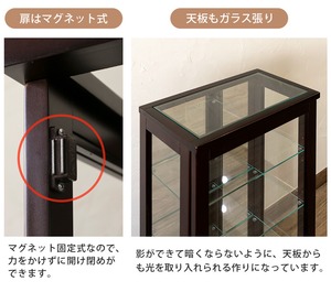 【佐川・離島発送不可】コレクションケース　タテ型　ハイタイプ　DBR/WW