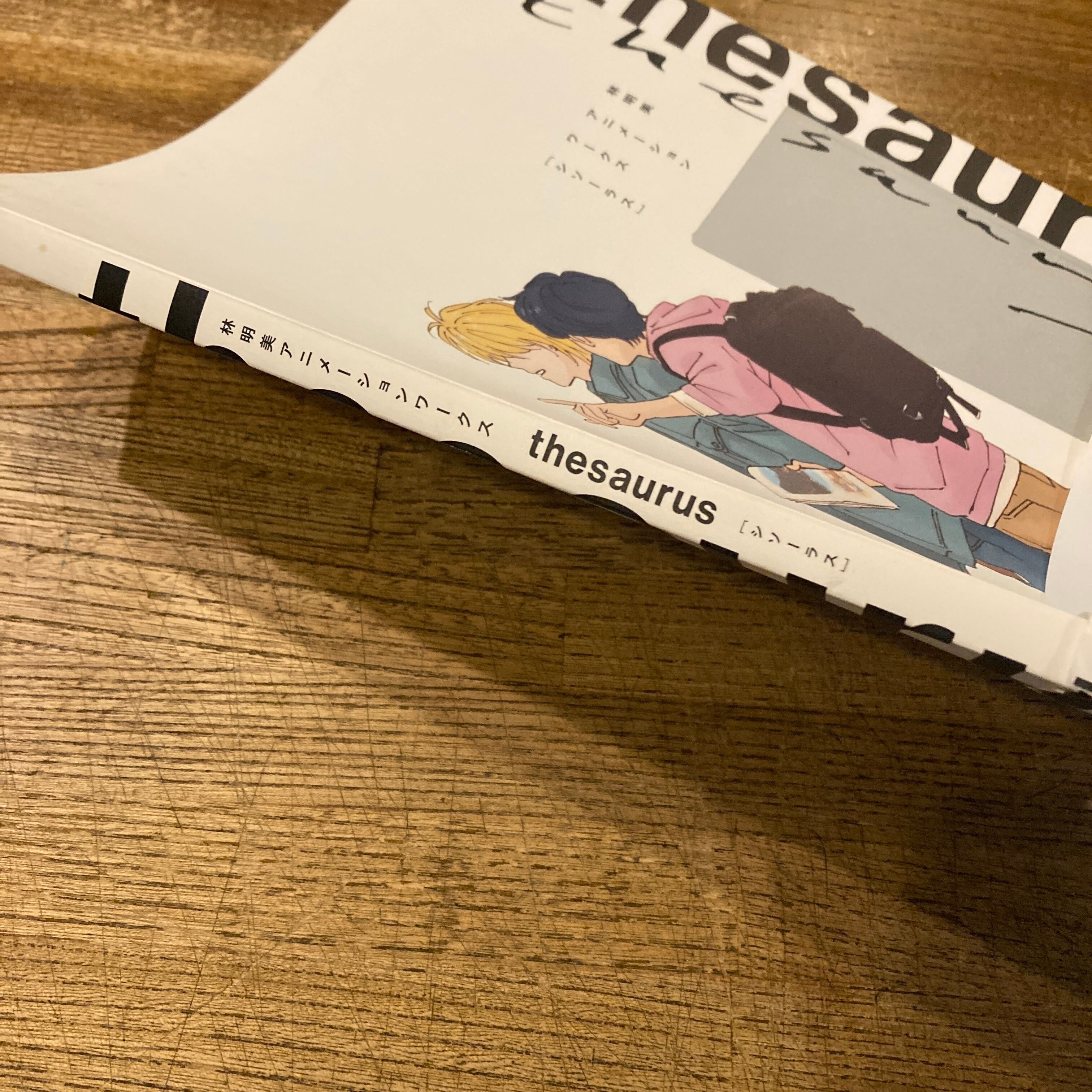林明美アニメーションワークス thesaurus シソーラス | 百年