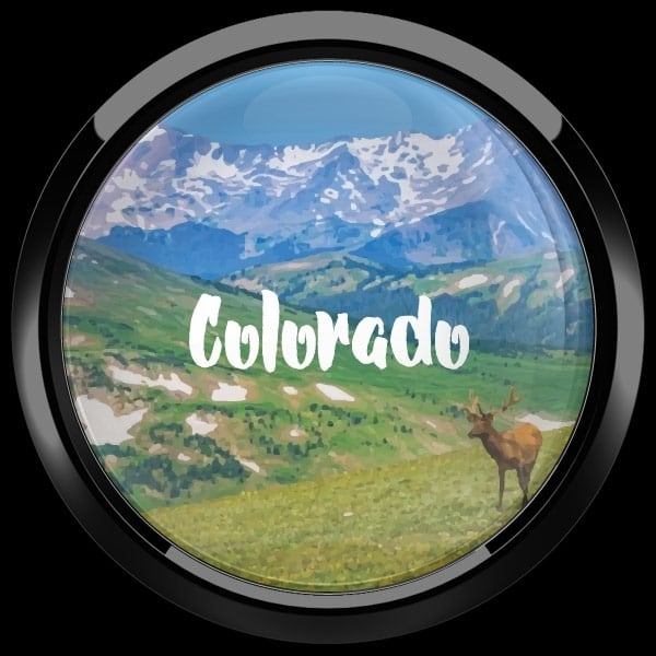 ゴーバッジ(ドーム)（CD1078 - COLORADO） - 画像2