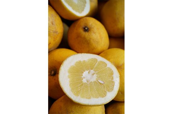 【サクサク食感】サワーポメロ・1kg