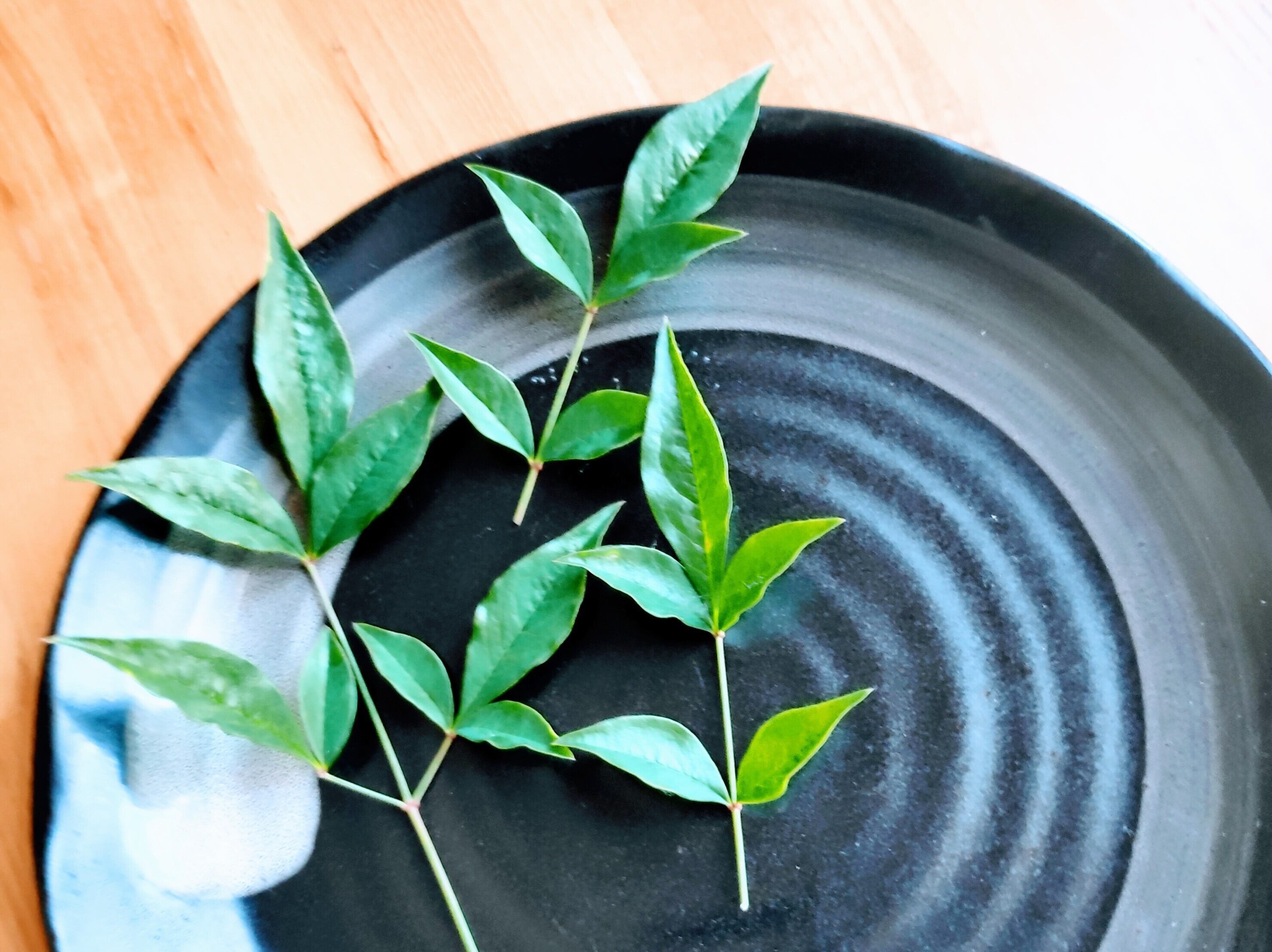 飾り葉】南天-- | MADOCHI - Veg & Herb -