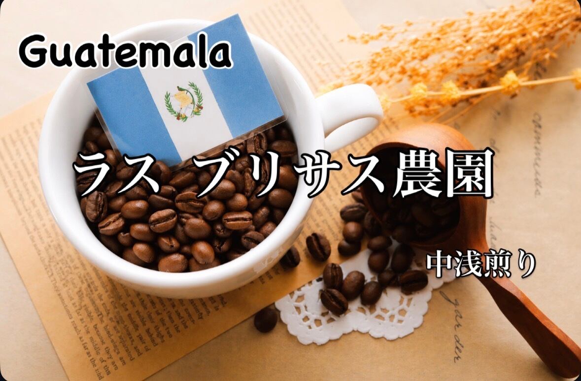 Columbia』ウィラ SUP サンアグスティン【深煎り】100g | 自家焙煎