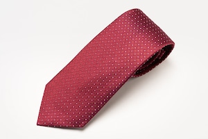 ≪VANNERS＆musterdTIES別注≫　350end　silk100％　spot tie　〈red〉