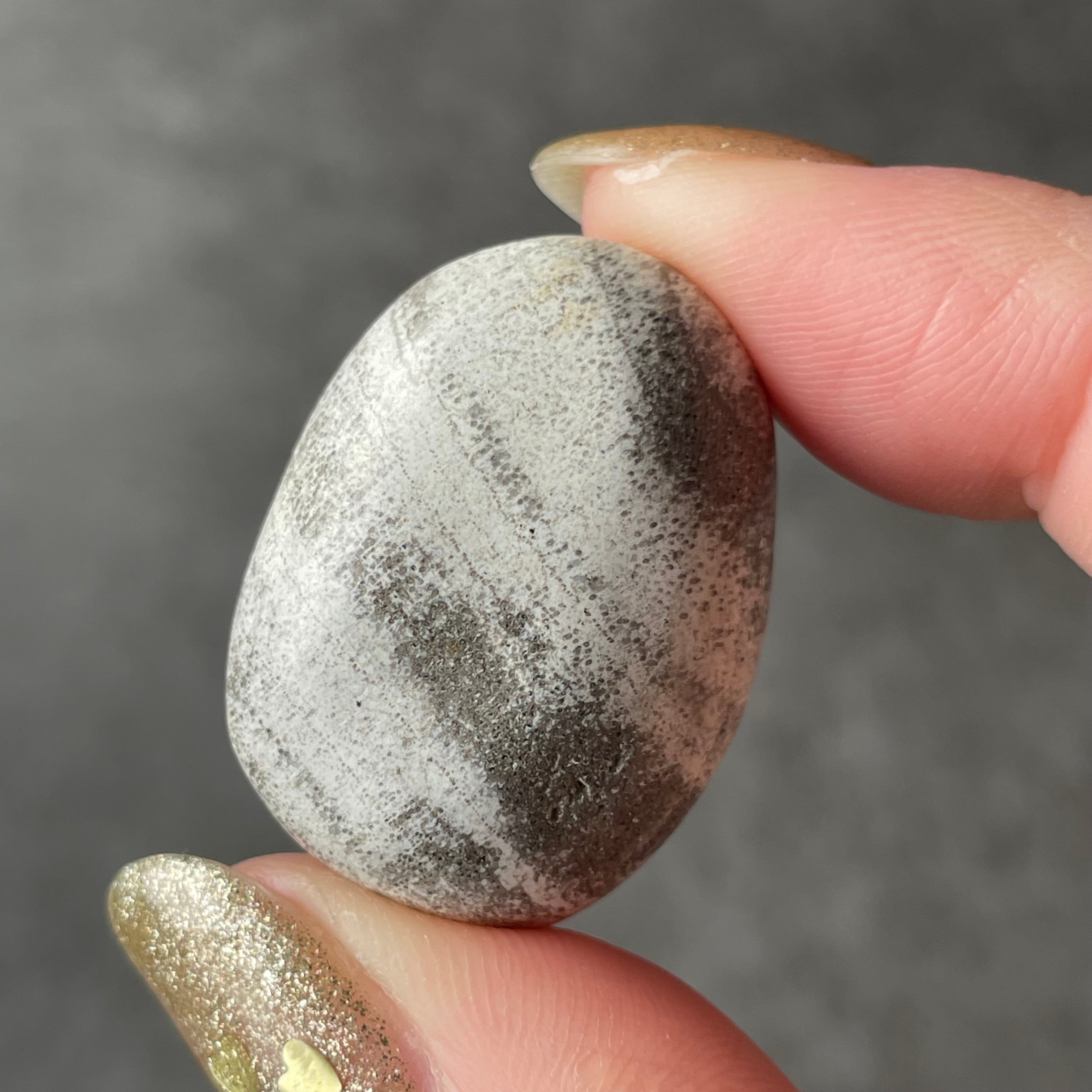 Petrified Wood ペトリファイドウッド|Tumble タンブル|天然石 パワーストーン 鉱物 gem stone