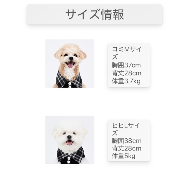 足を通さないポンチョ風ケープ　‐　(BLACK)