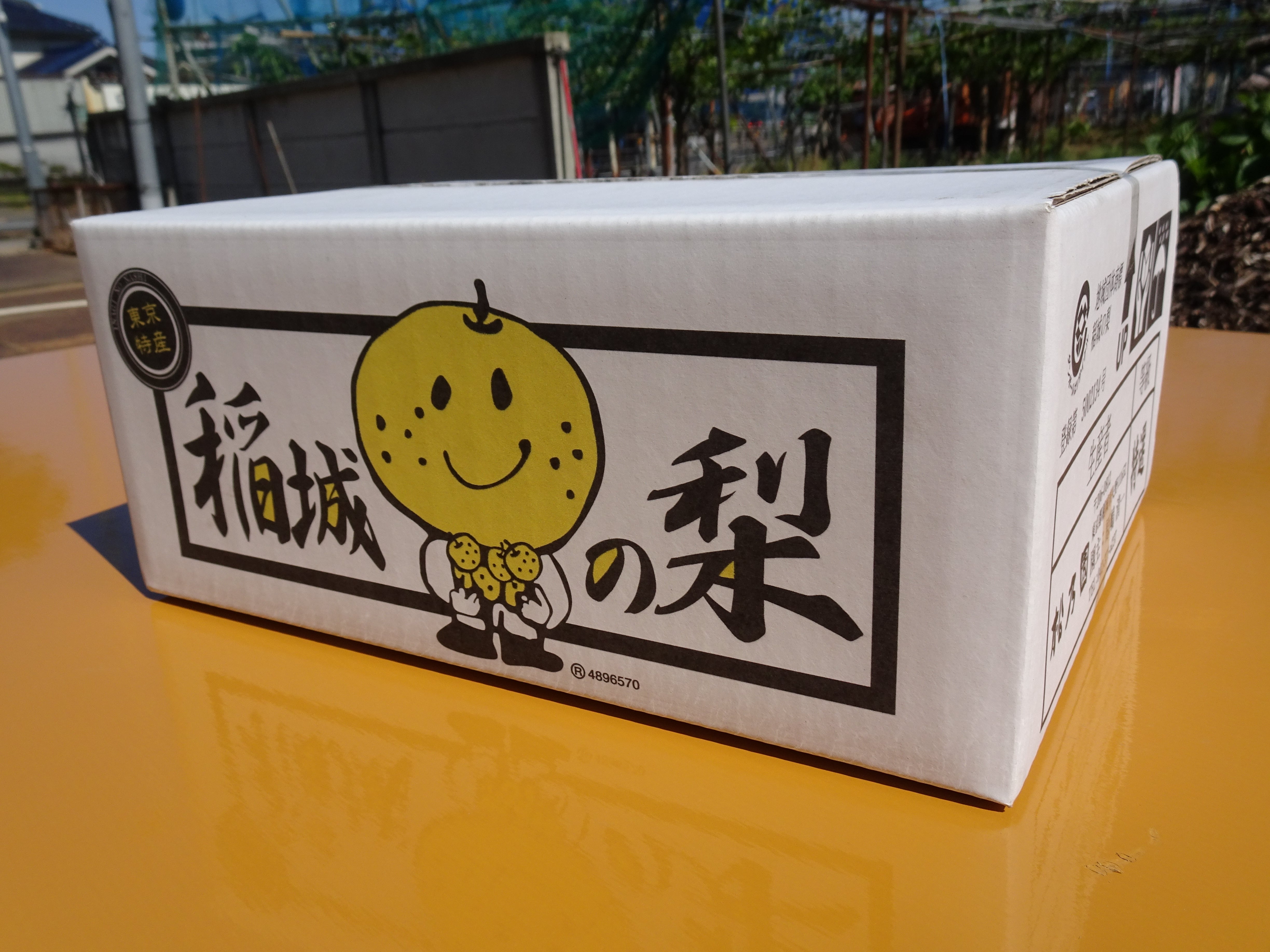 予約販売】HN3 稲城の梨「甘ひびき」 大玉 | 松乃園