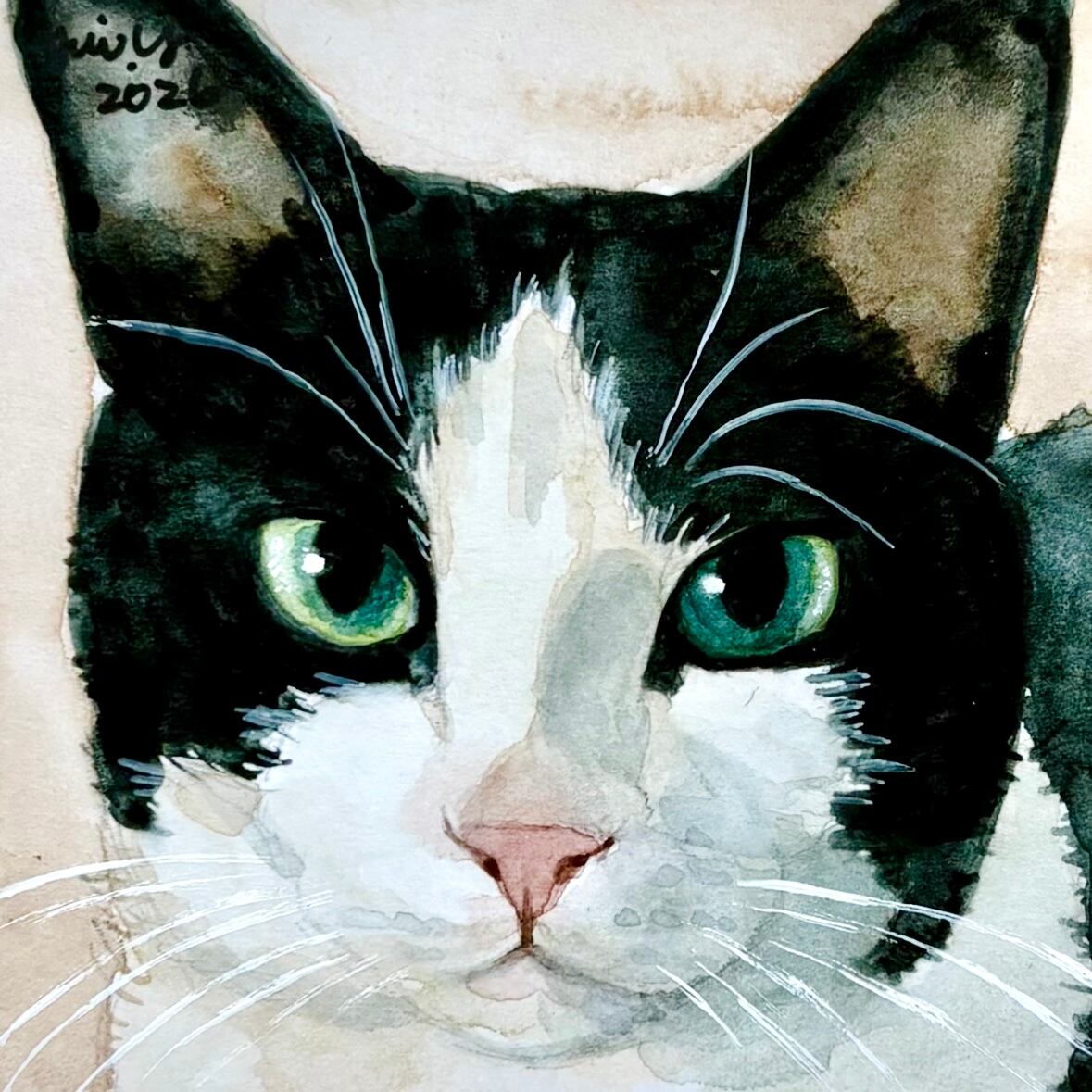 猫の絵 396 水彩画 原画 ミニ色紙 ハチワレ | Forest cat