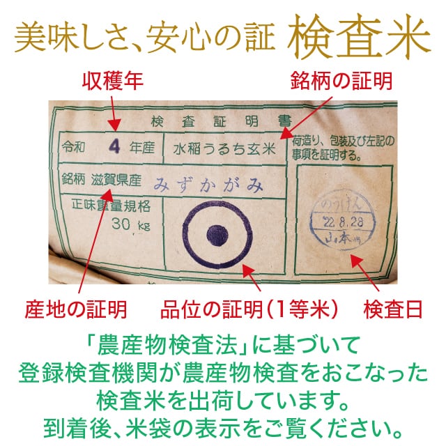 年間予約・定期便〉農家直売・特別栽培米 日本晴 玄米30kg 2ヶ月